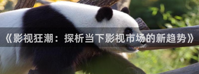 越南69视频：《影视狂潮：探析当下影视市场的新趋势》