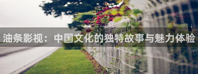 69视频在线观看污：油条影视：中国文化的独特故事与魅力体验
