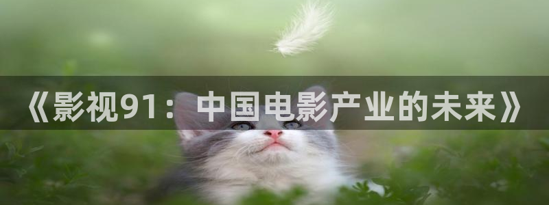 美女69视频：《影视91：中国电影产业的未来》