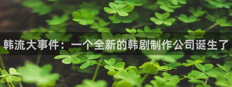 最新69视频：韩流大事件：一个全新的韩剧制作公司诞生了