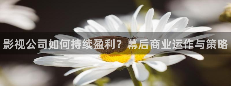 69视频怎么下载：影视公司如何持续盈利？幕后商业运作与策略